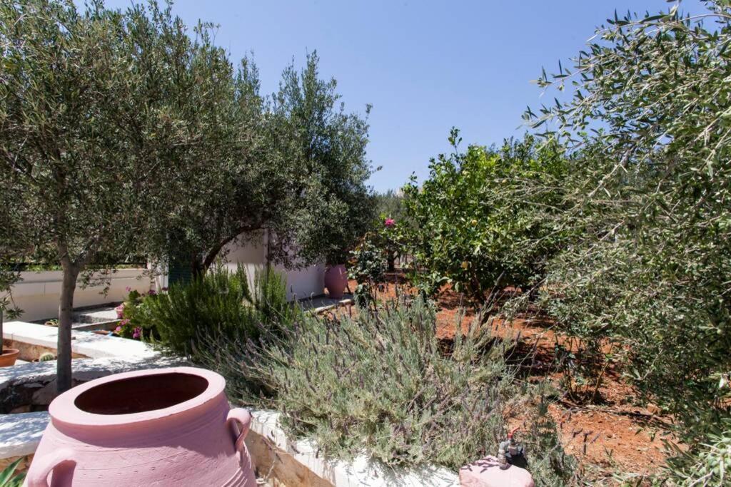 Beautiful Holiday House Near The Sea Sissi Exterior foto